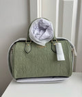 Coach Rowan Satchel Bag Crossbody in Signature Leather Gold/Pistachio